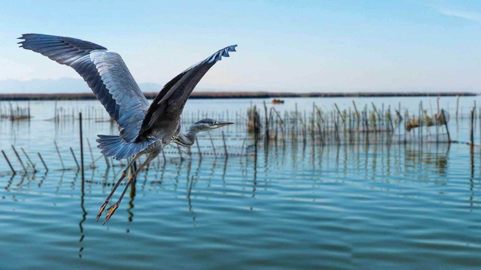 فالنسيا Albufera Dreams Nature Suites المظهر الخارجي الصورة